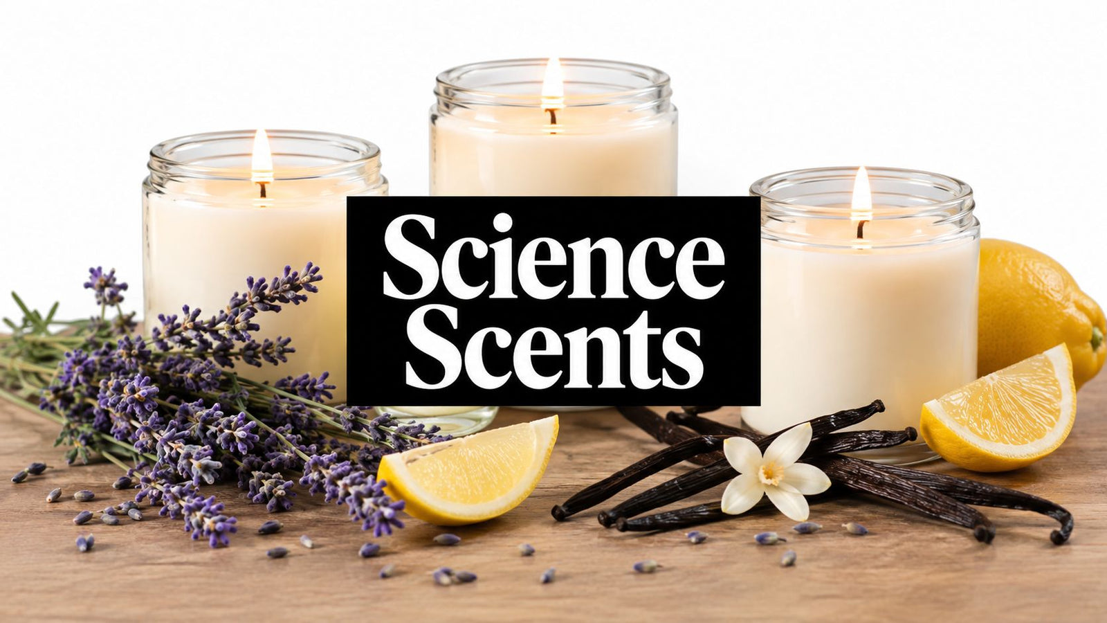 7 Best Candle Science Scents for Every Mood