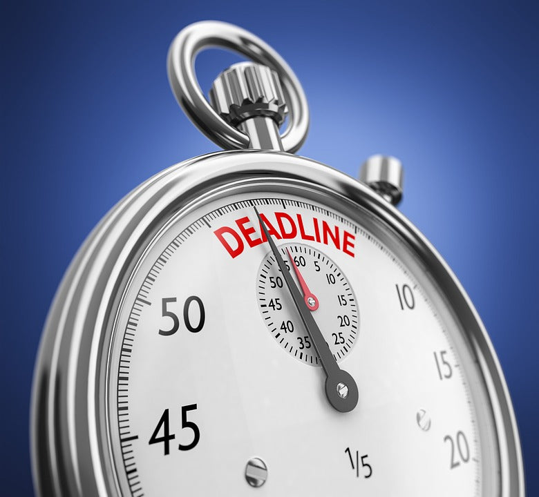 Are you TOO BUSY? Find out how much of a busy bee you are!