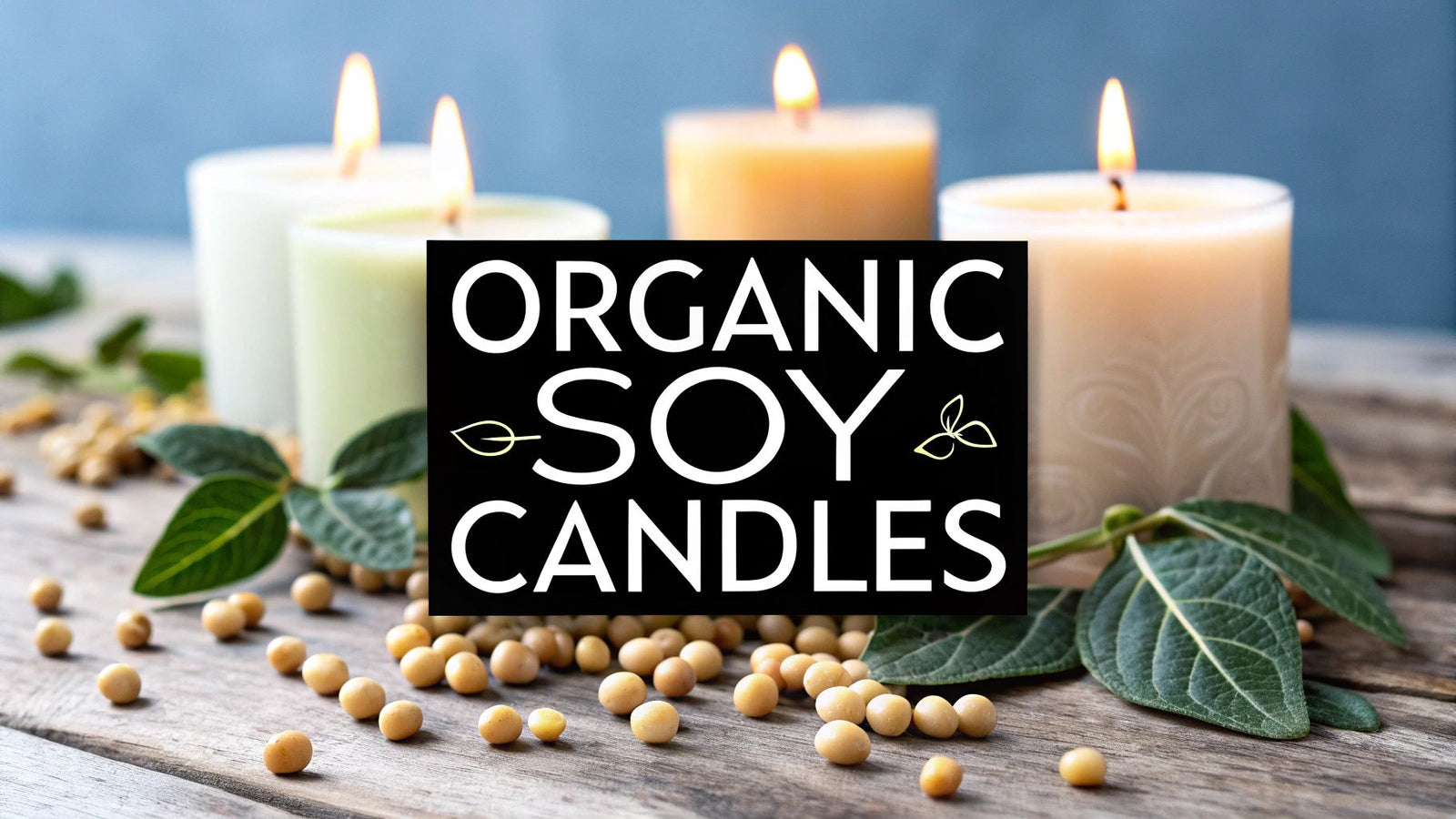The Ultimate Guide to Organic Soy Wax Candles