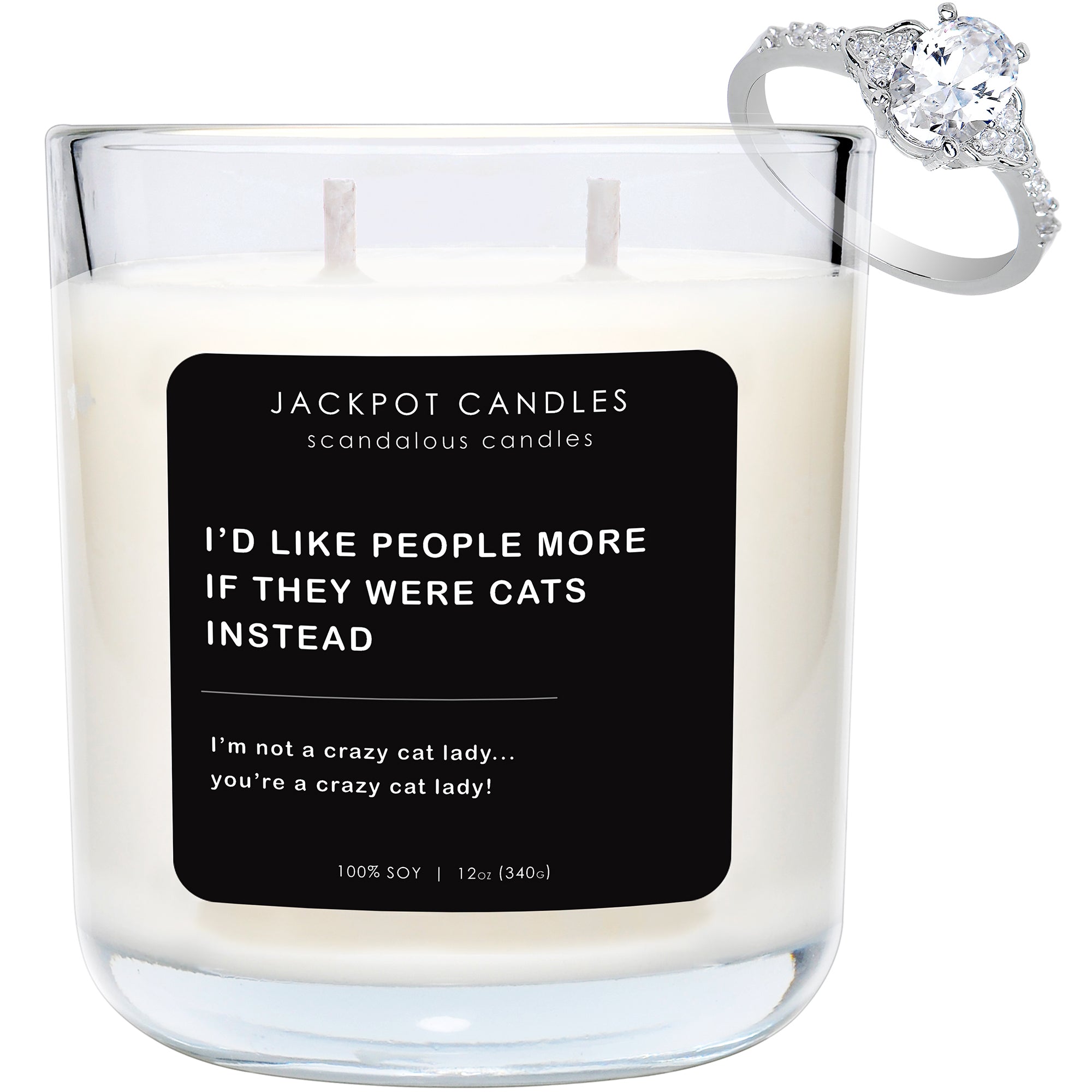 I'd Like People More if They were Cats Instead Scandalous Candle