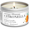 Citronella Party Pack (2) Outdoor Candles